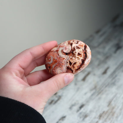 Crazy Lace Agate Druzy Palm Stone | Earth Energy, Protection & Inner Strength