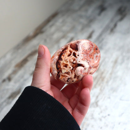 Crazy Lace Agate Druzy Palm Stone | Earth Energy, Protection & Inner Strength