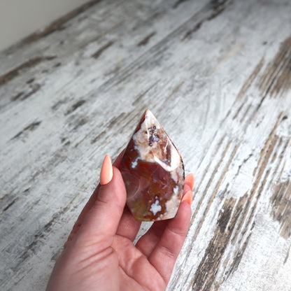 Crazy Lace Agate Teardrop | Joy, Balance & Gentle Renewal