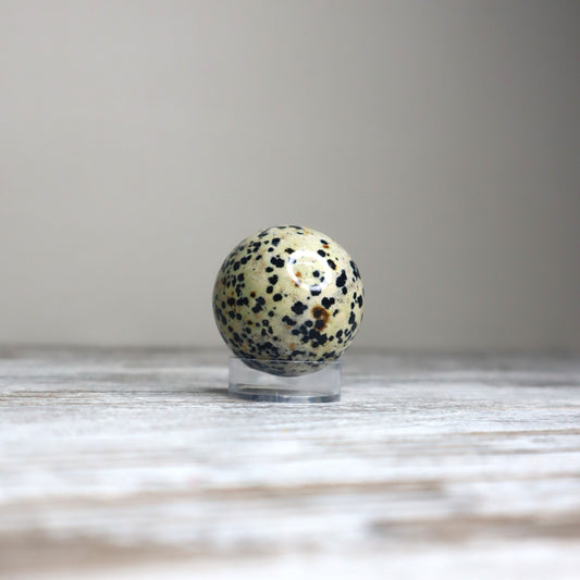 Dalmatian Jasper Sphere | Joy, Grounding & Playful Protection