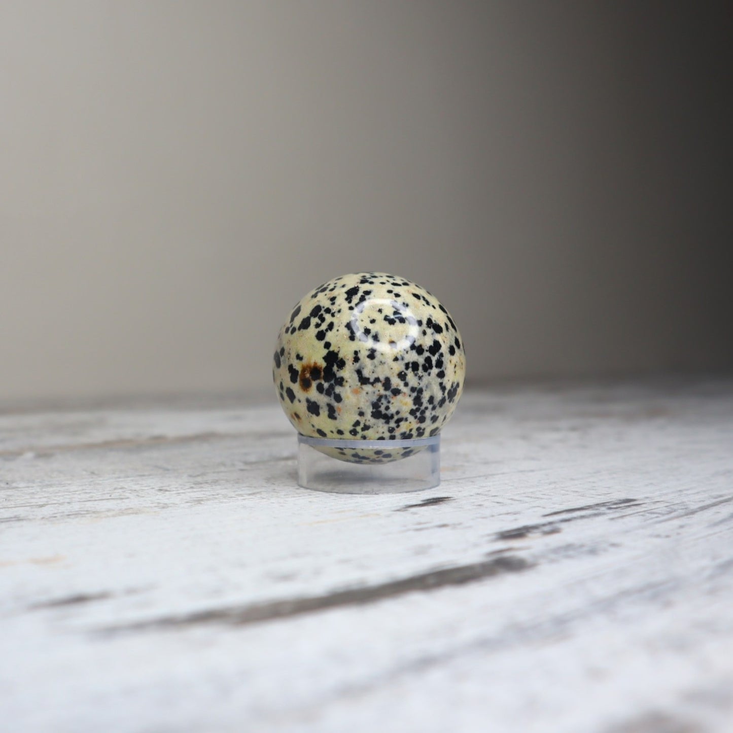 Dalmatian Jasper Sphere | Joy, Grounding & Playful Protection
