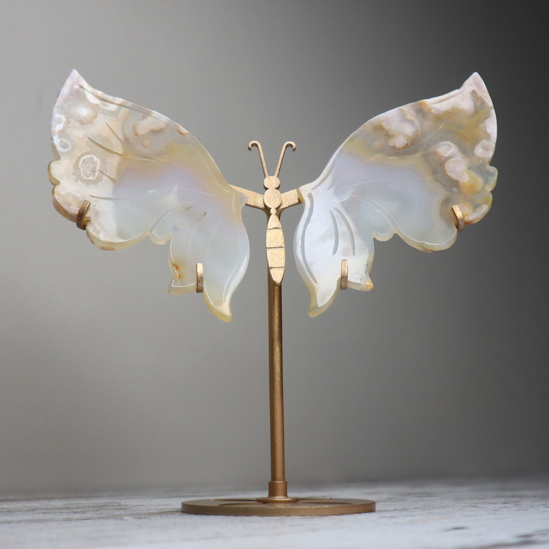 Flower Agate Butterfly Wings on Stand | Growth, Renewal &amp; Soft Strength
