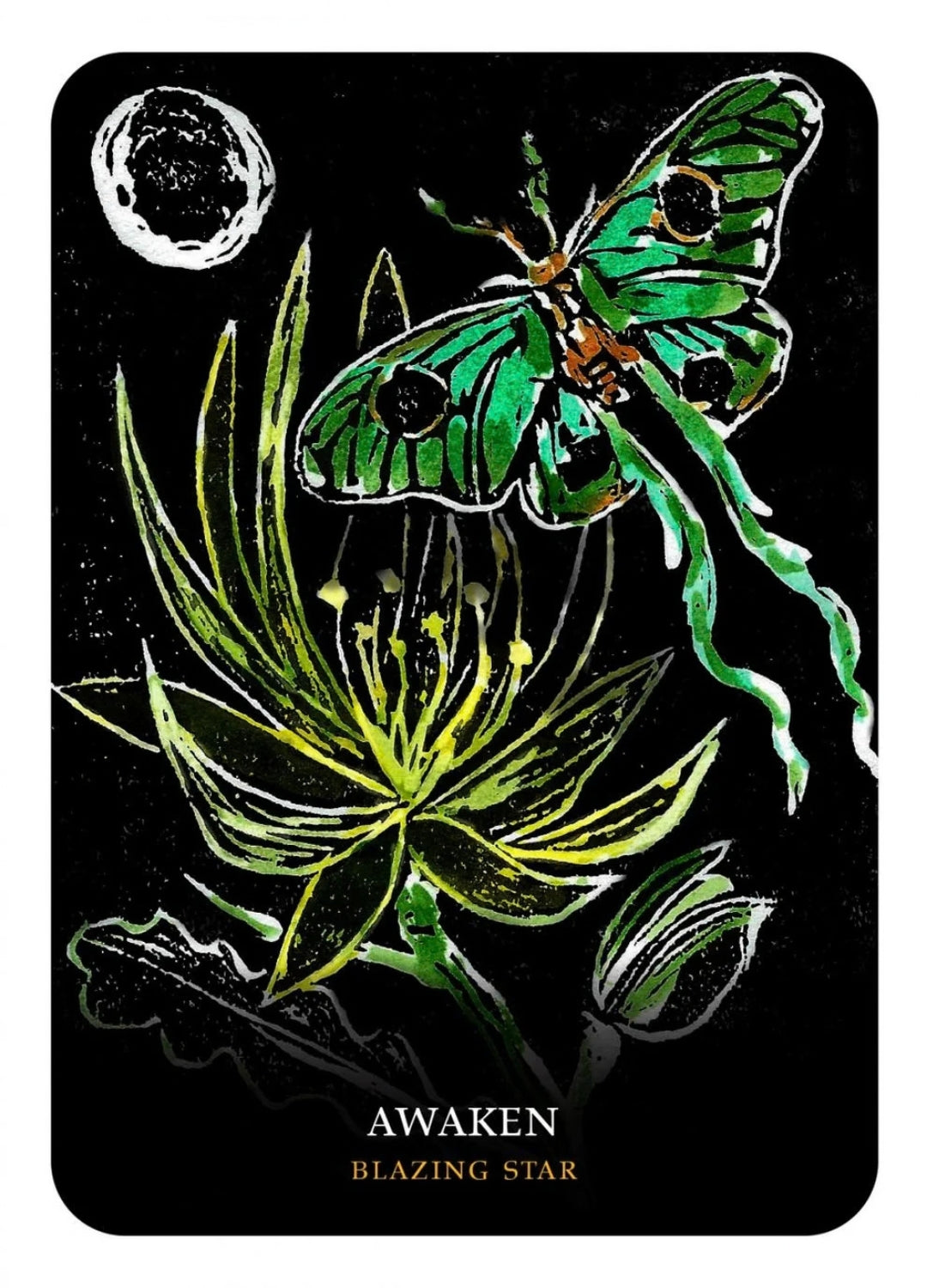 Flowers of the Night Oracle | Flower Wisdom, Intuition &amp; Botanical Magic