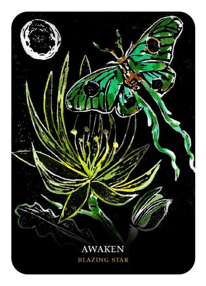 Flowers of the Night Oracle | Flower Wisdom, Intuition &amp; Botanical Magic