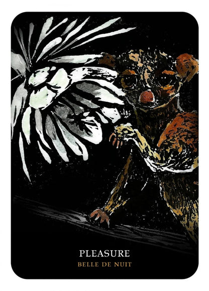 Flowers of the Night Oracle | Flower Wisdom, Intuition &amp; Botanical Magic