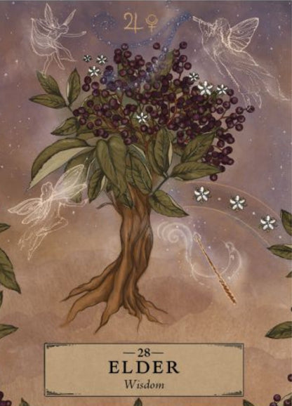 The Herbal Astrology Oracle