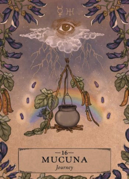 The Herbal Astrology Oracle