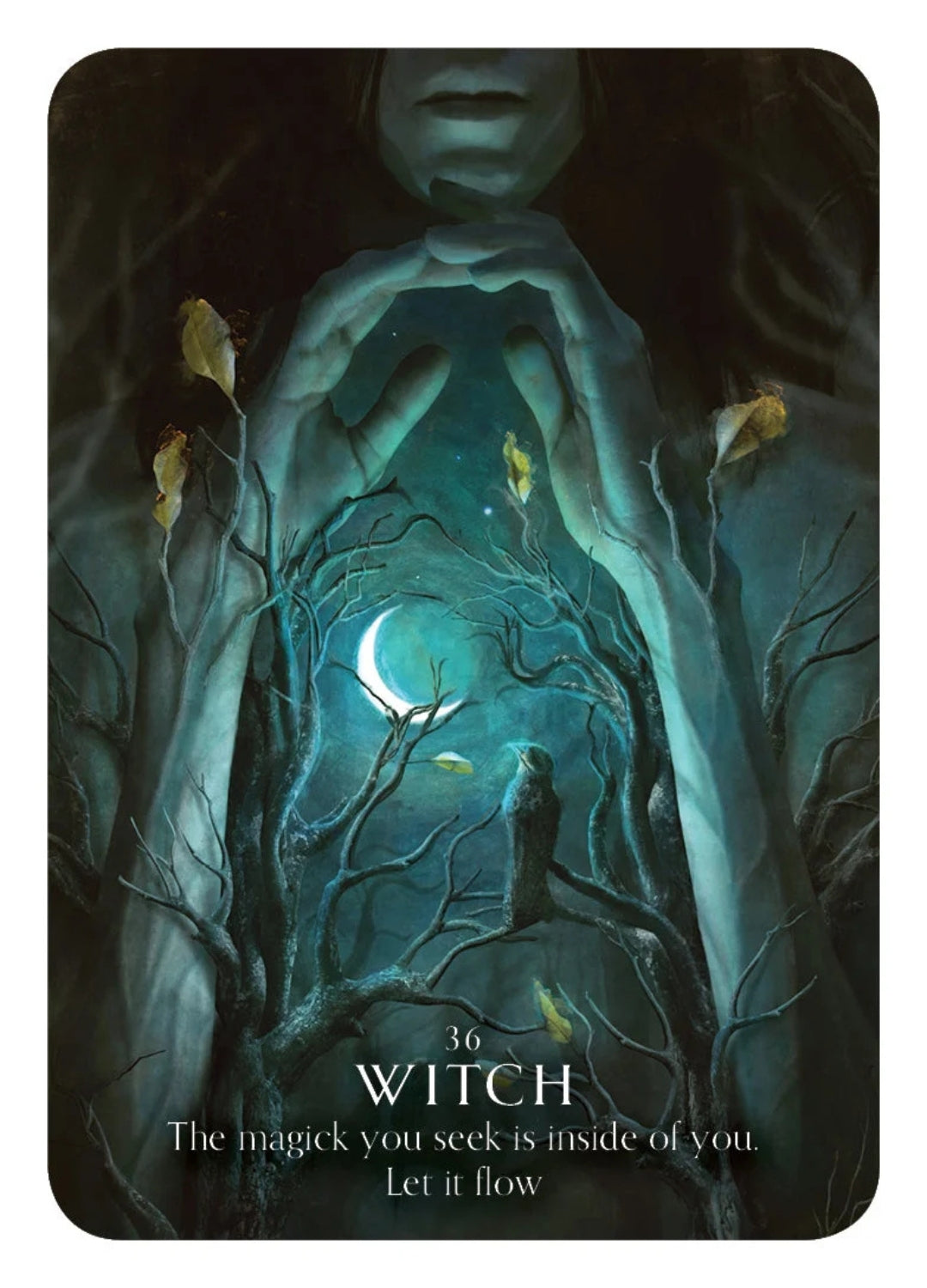 Magick of You Oracle | Self-Discovery, Empowerment &amp; Inner Wisdom