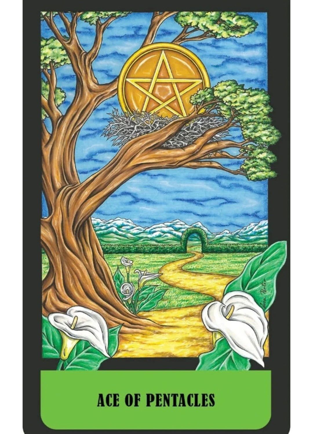 Mystical Realm Tarot | Symbolism, Intuition &amp; Self-Discovery