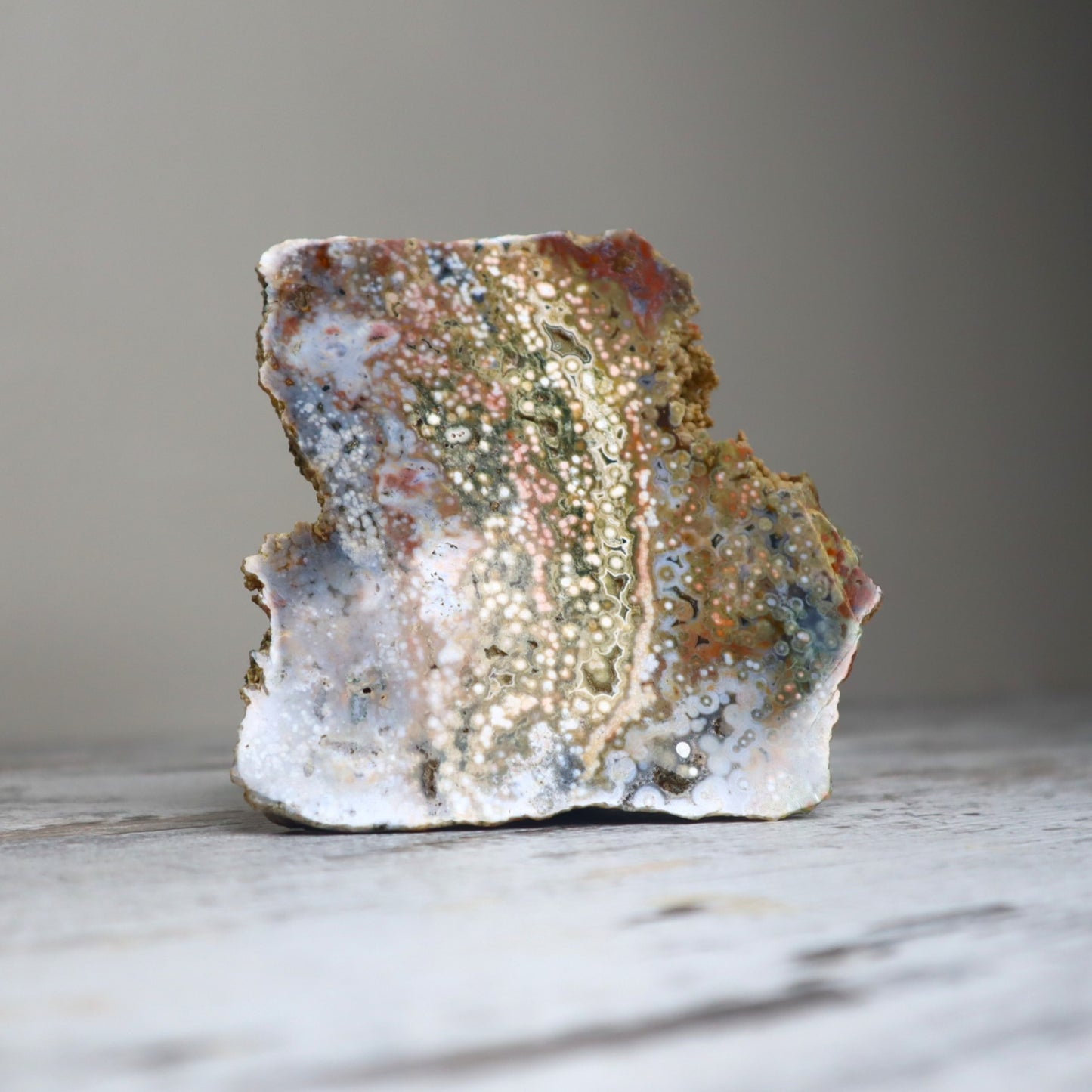 Ocean Jasper Freeform | Deep Renewal, Emotional Flow & Earth Connection