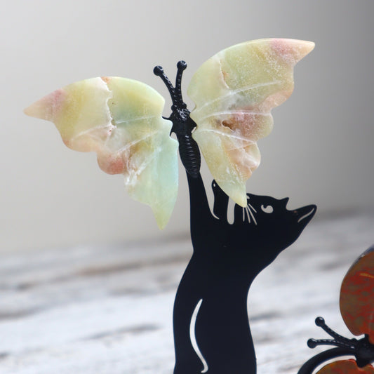 Ocean Jasper Butterfly on Cat Stand | Joy, Transformation & Playful Energy