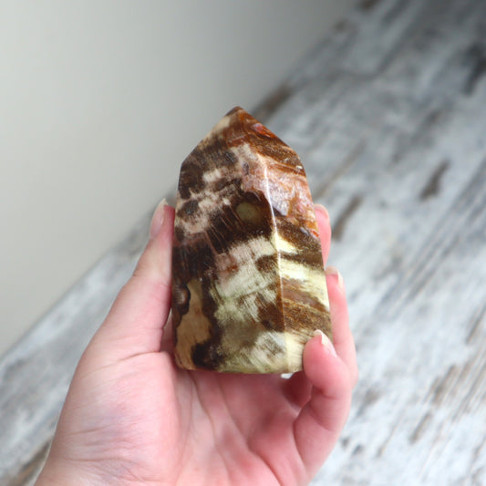Petrified Wood Freeform Tower | Ancient Grounding, Stability & Quiet Strength