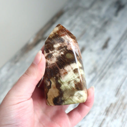 Petrified Wood Freeform Tower | Ancient Grounding, Stability & Quiet Strength