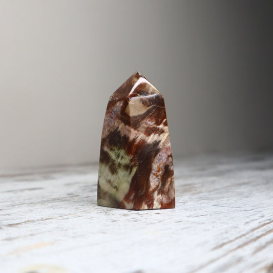 Petrified Wood Freeform Tower | Ancient Grounding, Stability & Quiet Strength