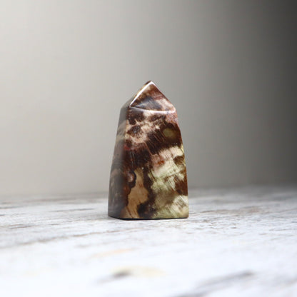 Petrified Wood Freeform Tower | Ancient Grounding, Stability & Quiet Strength