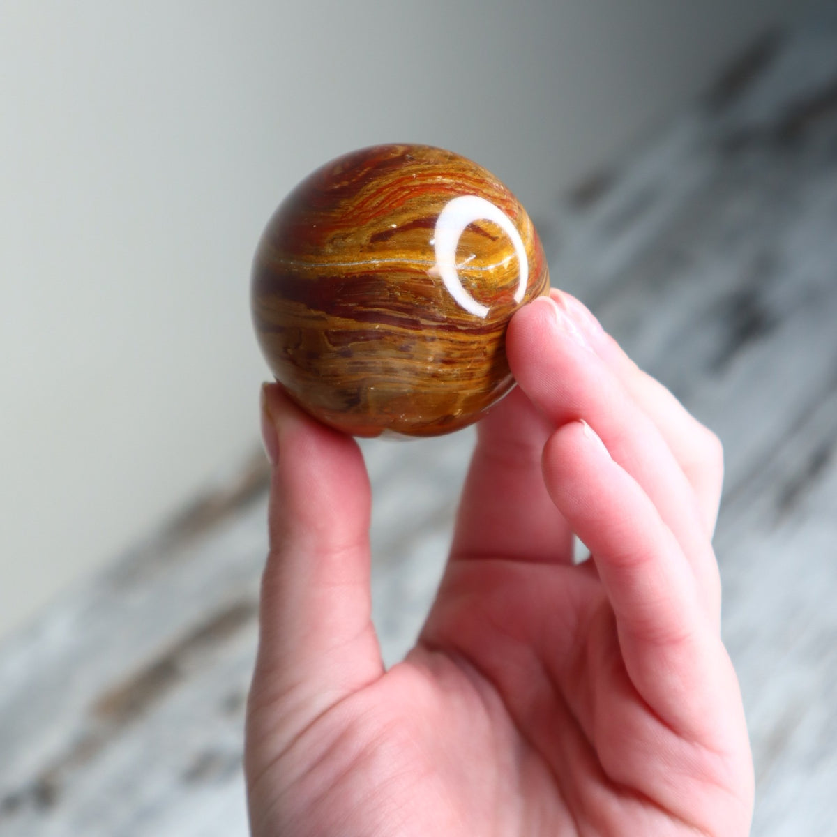 Petrified Wood Sphere | Ancient Wisdom, Stability &amp; Grounding