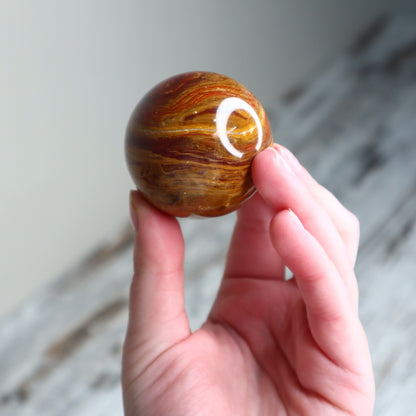 Petrified Wood Sphere | Ancient Wisdom, Stability &amp; Grounding