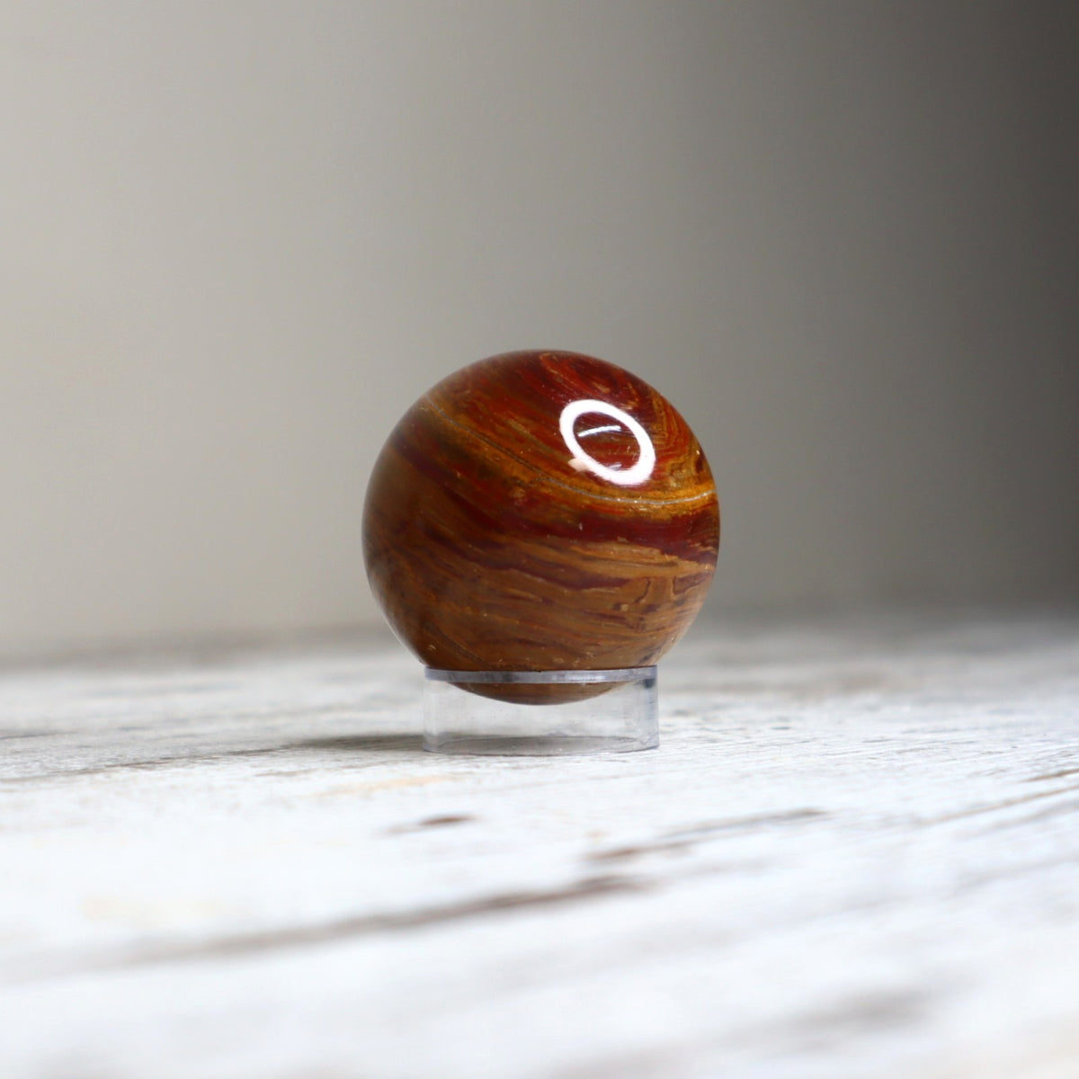 Petrified Wood Sphere | Ancient Wisdom, Stability &amp; Grounding