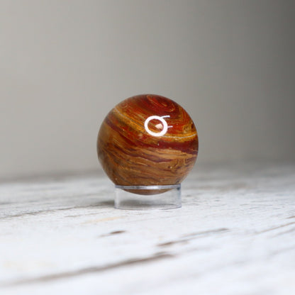 Petrified Wood Sphere | Ancient Wisdom, Stability &amp; Grounding