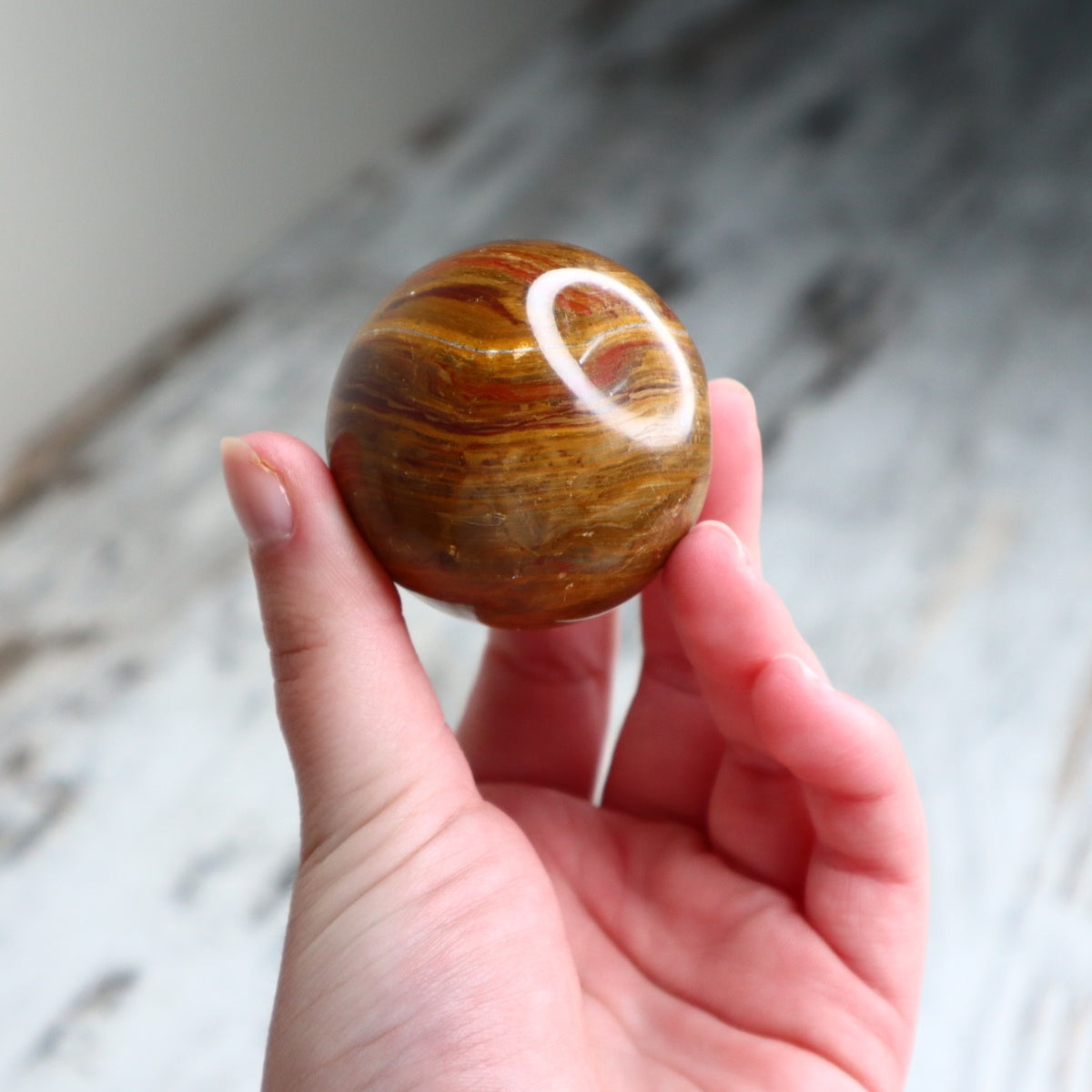 Petrified Wood Sphere | Ancient Wisdom, Stability &amp; Grounding
