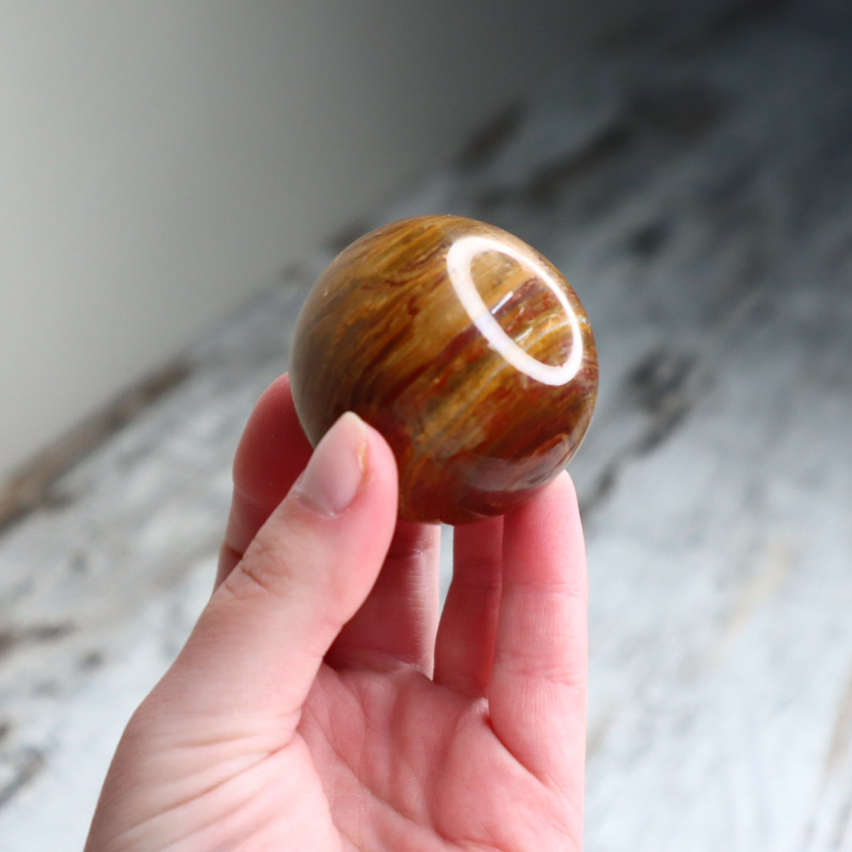 Petrified Wood Sphere | Ancient Wisdom, Stability &amp; Grounding
