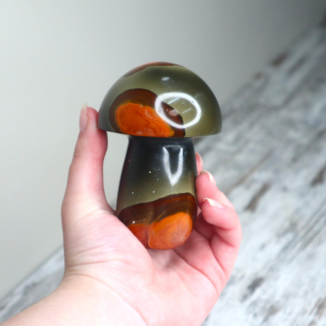 Polychrome Jasper Mushroom Carving | Grounding, Stability &amp; Earth Connection