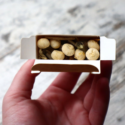 Sagrada Madre Sacred Smoke Kit | Purification