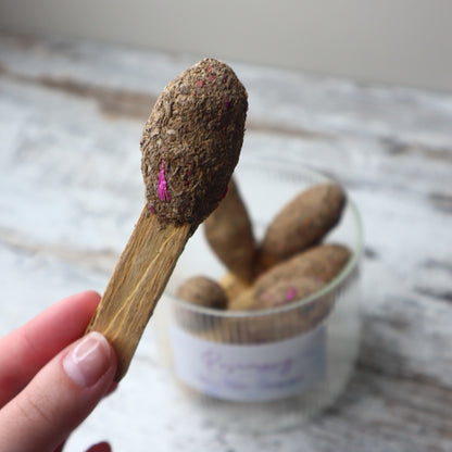 Palo Santo Pops ROSEMARY | Refreshing Cleanse, Clarity & Grounded Energy
