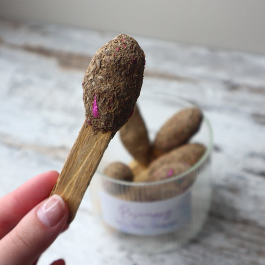 Palo Santo Pops ROSEMARY | Refreshing Cleanse, Clarity & Grounded Energy