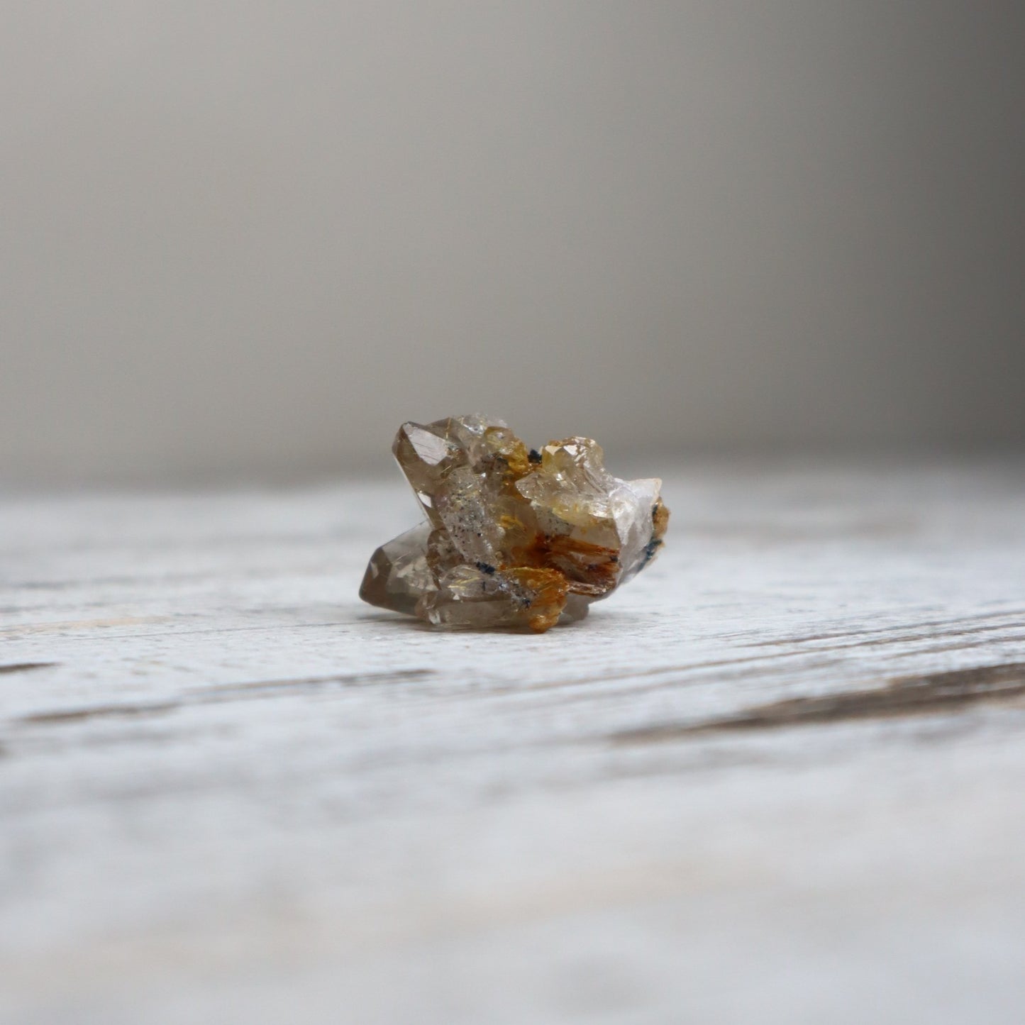 Golden Rutilated Quartz Raw | Abundance, Illumination & Empowerment