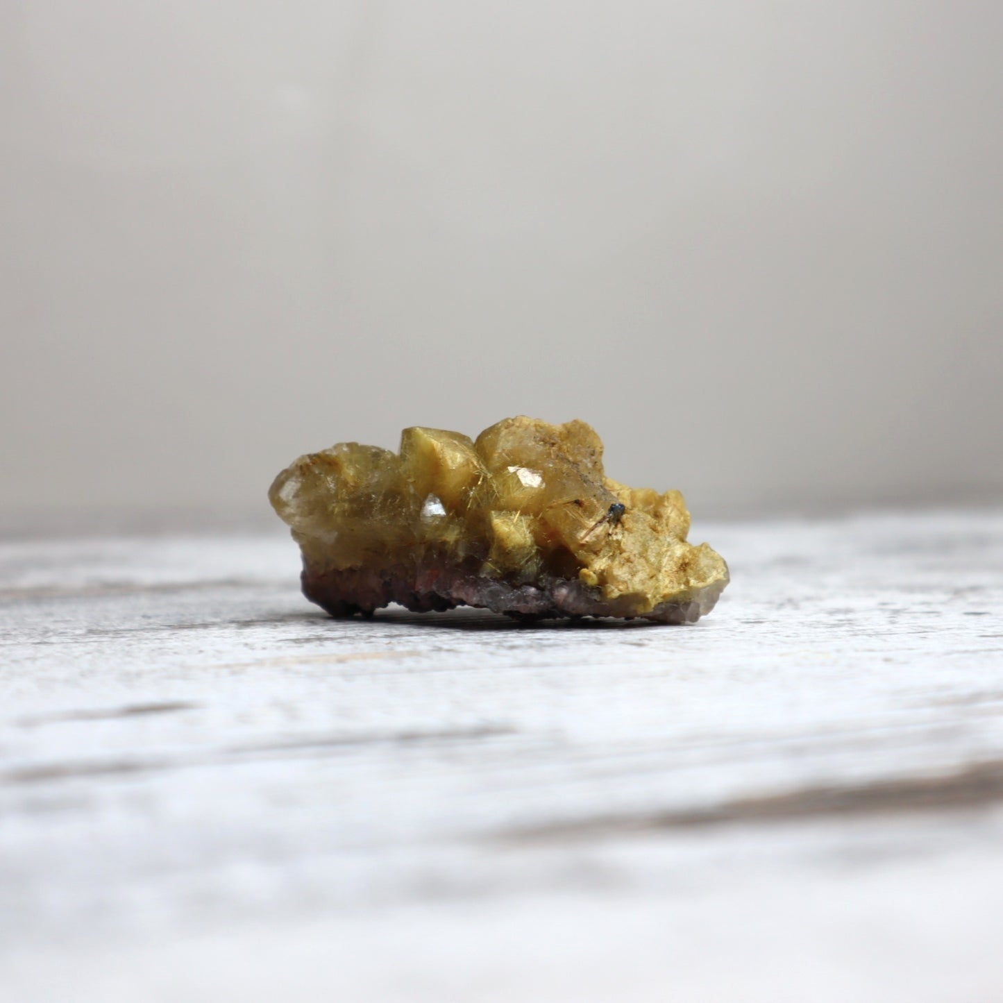 Golden Rutilated Quartz Raw | Abundance, Illumination & Empowerment