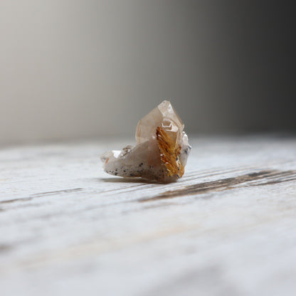 Golden Rutilated Quartz Raw | Abundance, Illumination & Empowerment