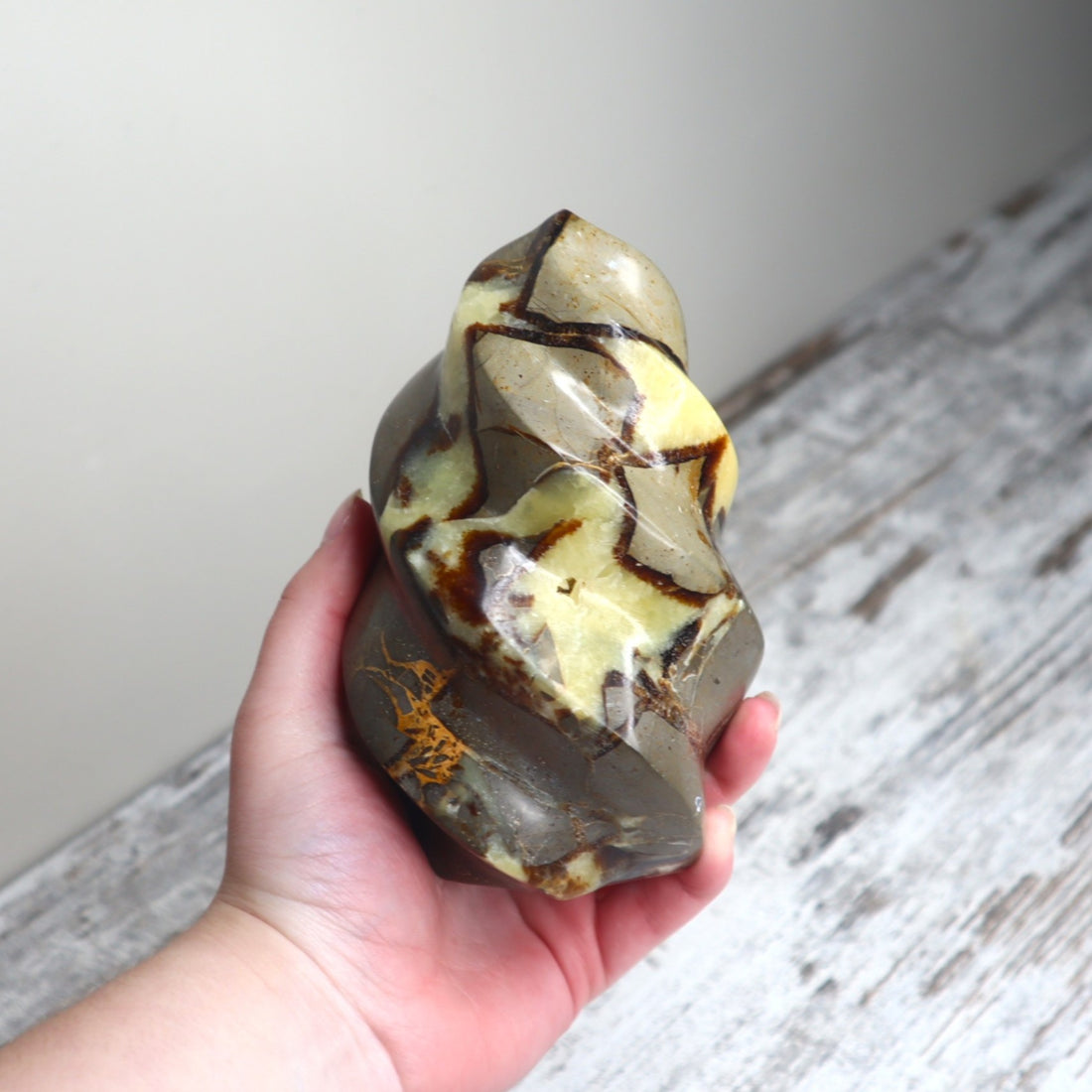 Septarian Flame | Grounded Confidence, Ancient Strength &amp; Inner Voice