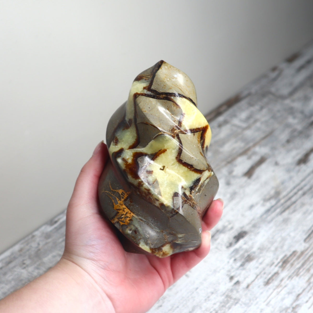 Septarian Flame | Grounded Confidence, Ancient Strength &amp; Inner Voice