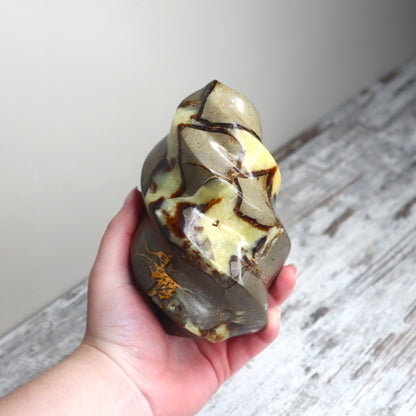 Septarian Flame | Grounded Confidence, Ancient Strength & Inner Voice