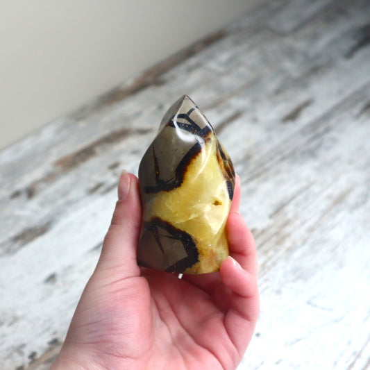 Septarian Flame | Confidence, Grounding & Ancient Wisdom