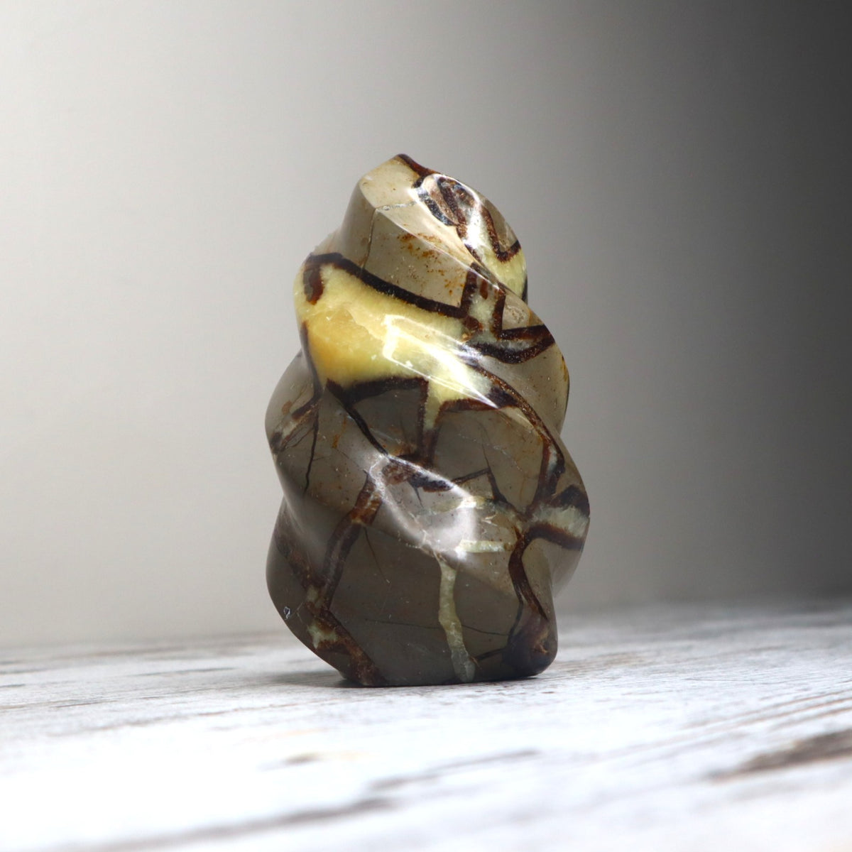 Septarian Flame | Grounded Confidence, Ancient Strength &amp; Inner Voice