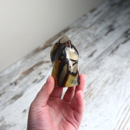 Septarian Flame | Confidence, Grounding & Ancient Wisdom