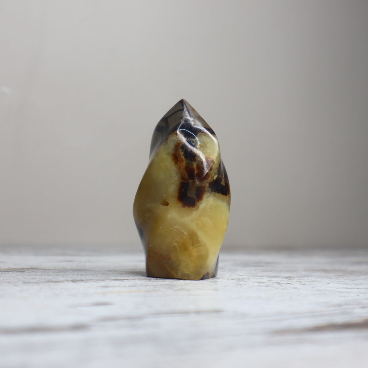 Septarian Flame | Confidence, Grounding &amp; Ancient Wisdom