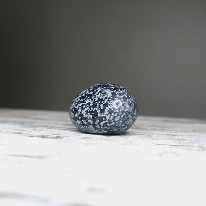 Snowflake Obsidian Palm Stone | Calm, Protection & Inner Balance