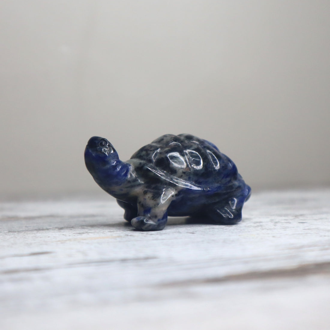 Sodalite Turtle | Wisdom, Stability &amp; Clear Communication