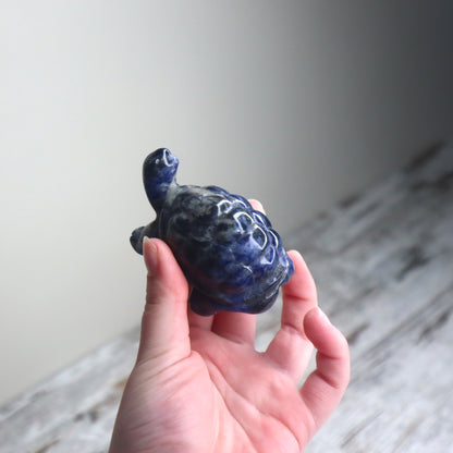 Sodalite Turtle | Wisdom, Stability & Clear Communication
