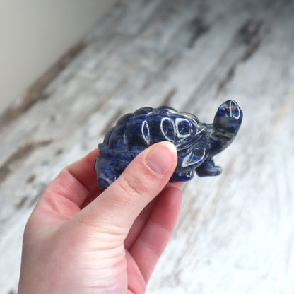 Sodalite Turtle | Wisdom, Stability & Clear Communication