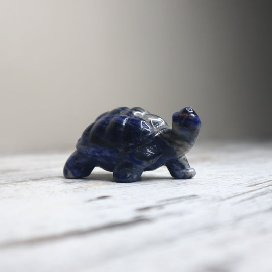 Sodalite Turtle | Wisdom, Stability & Clear Communication