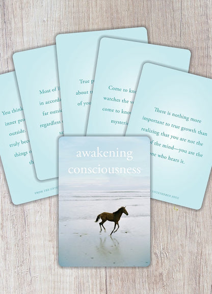 The Untethered Soul | 52-Card Mindfulness &amp; Inspiration Deck