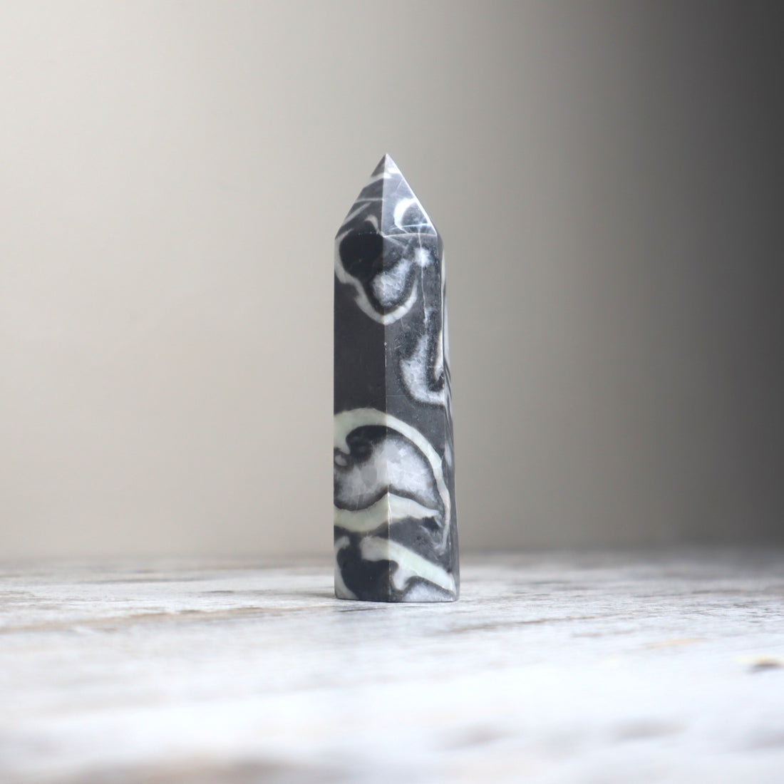Thousand Eye Jasper Point | Protection, Awareness &amp; Grounded Clarity