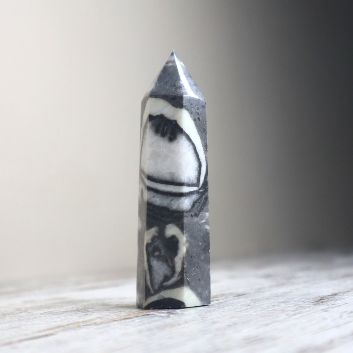 Thousand Eye Jasper Point | Protection, Awareness & Grounded Clarity