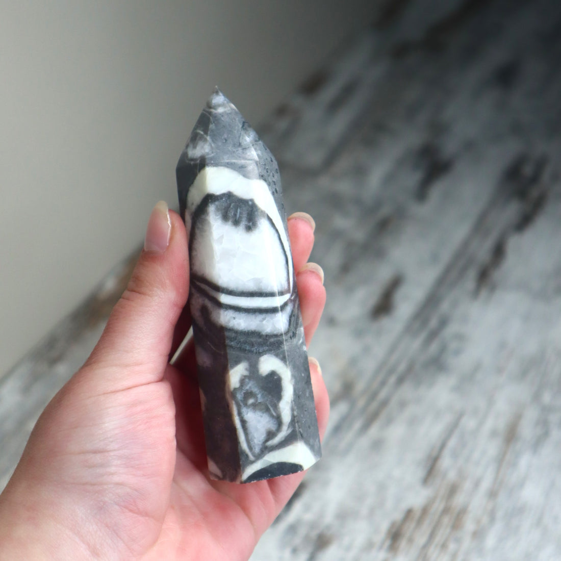 Thousand Eye Jasper Point | Protection, Awareness &amp; Grounded Clarity