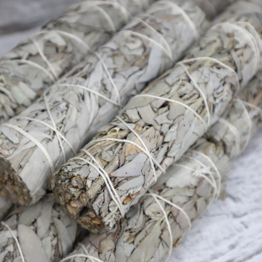 White Sage Cleansing Wand | Medium | 15cm | Purification & Energy Clearing