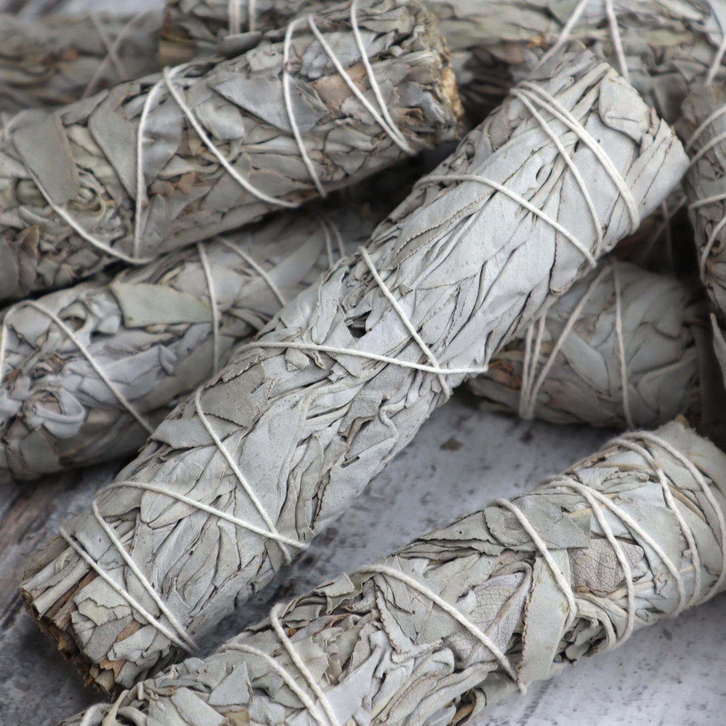 White Sage Cleansing Wand | Medium | 15cm | Purification & Energy Clearing
